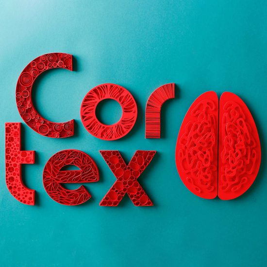 Cortex