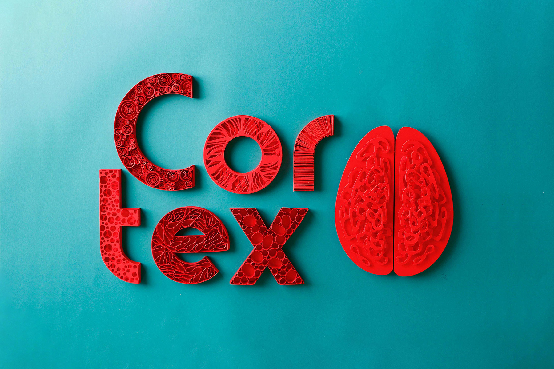 Cortex